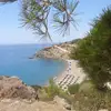 Αχλιά Σχινοκαψάλων | Achlia Schinokapsalon