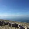 Αγ. Φωκάς/Μαραθιά | Agios Fokas/Marathia