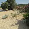 Αγ. Ονούφριος | Agios Onoufrios