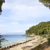 Αμπελάκια/Elivi | Ambelakia/Elivi