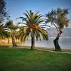Δαφνίλα/Grecotel Daphnila Bay Dassia | Dafnila/Grecotel Daphnila Bay Dassia