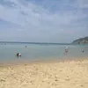 Ελάνη | Elani