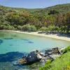 Γιαλισκάρι | Yialiskari