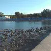 Καθαρά  | Kathara