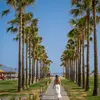 Καβρός/Delfina Tropic Beach | Kavros/Delfina Tropic Beach