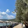 Κόρφος | Korfos