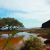 Κουρεμένος | Kouremenos