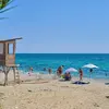 Λεπτοκαρυά | Leptokarya
