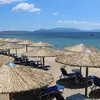 Μεταμόρφωση | Metamorfosi