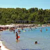 Παλιούρι Κάνιστρο | Paliouri Kanistro