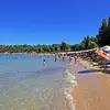 Παλιούρι Κάνιστρο | Paliouri Kanistro