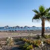Πλατανιάς Β/Minos Mare Resort | Platanias Β/Minos Mare Resort