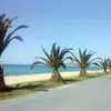 Πορταριά | Portaria