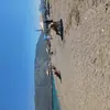 Ποσειδωνία | Posidonia