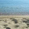 Ψακούδια Ανατολικά | Psakoudia Anatolika
