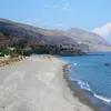 Ροδάκινο | Rodakino