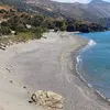 Ροδάκινο | Rodakino