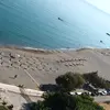 Ροδάκινο | Rodakino
