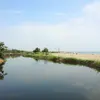 Στόμιο | Stomio