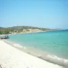 Συκιά | Sykia