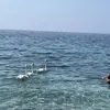 Ταρσανάς | Tarsanas