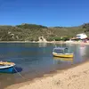 Τάρτι | Tarti