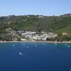 Βασιλιάς | Vasilias